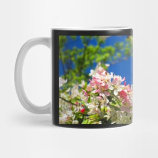 Cheery Blossom Mug